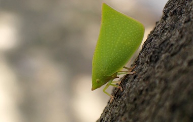 PB060696a.jpg